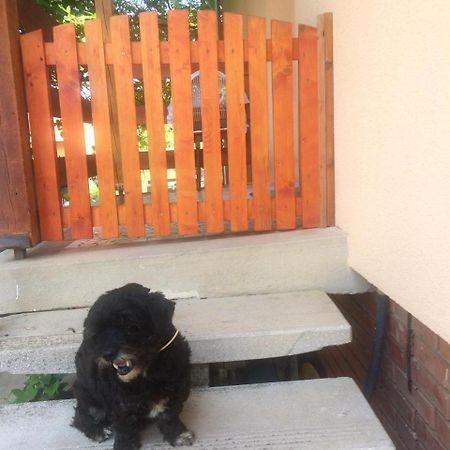 Ady Endre 9.A Apartamento Balatonfůzfő Exterior foto