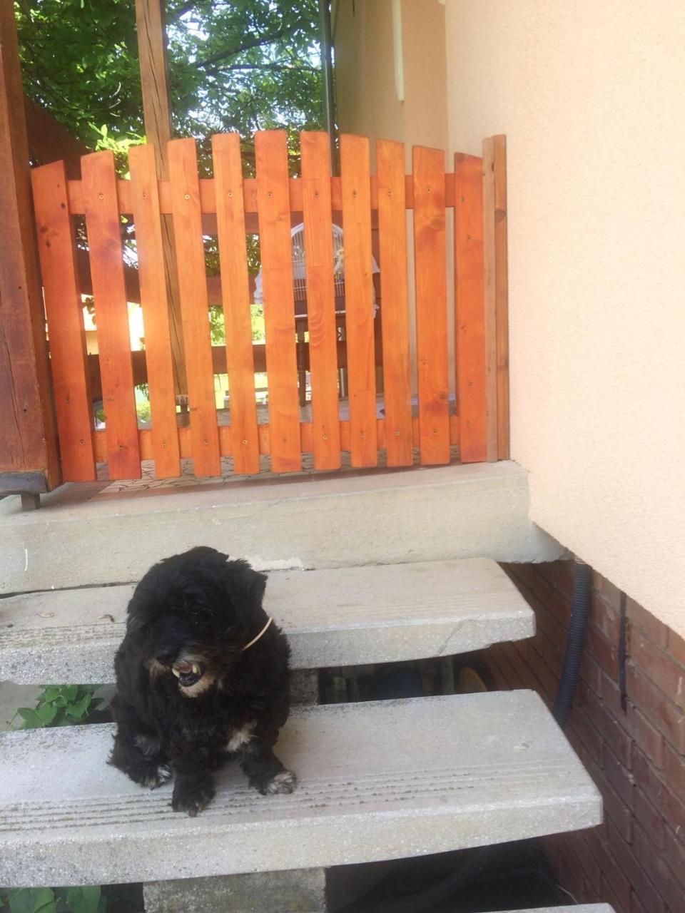 Ady Endre 9.A Apartamento Balatonfůzfő Exterior foto